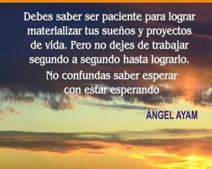 Frase Angel Ayam